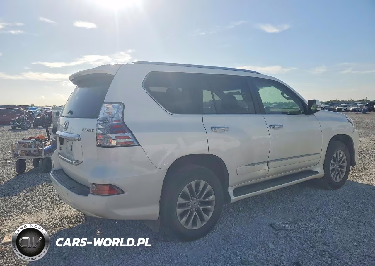 2018 Lexus Gx 460 Premium VIN:JTJJM7FX1J5184999 - 3