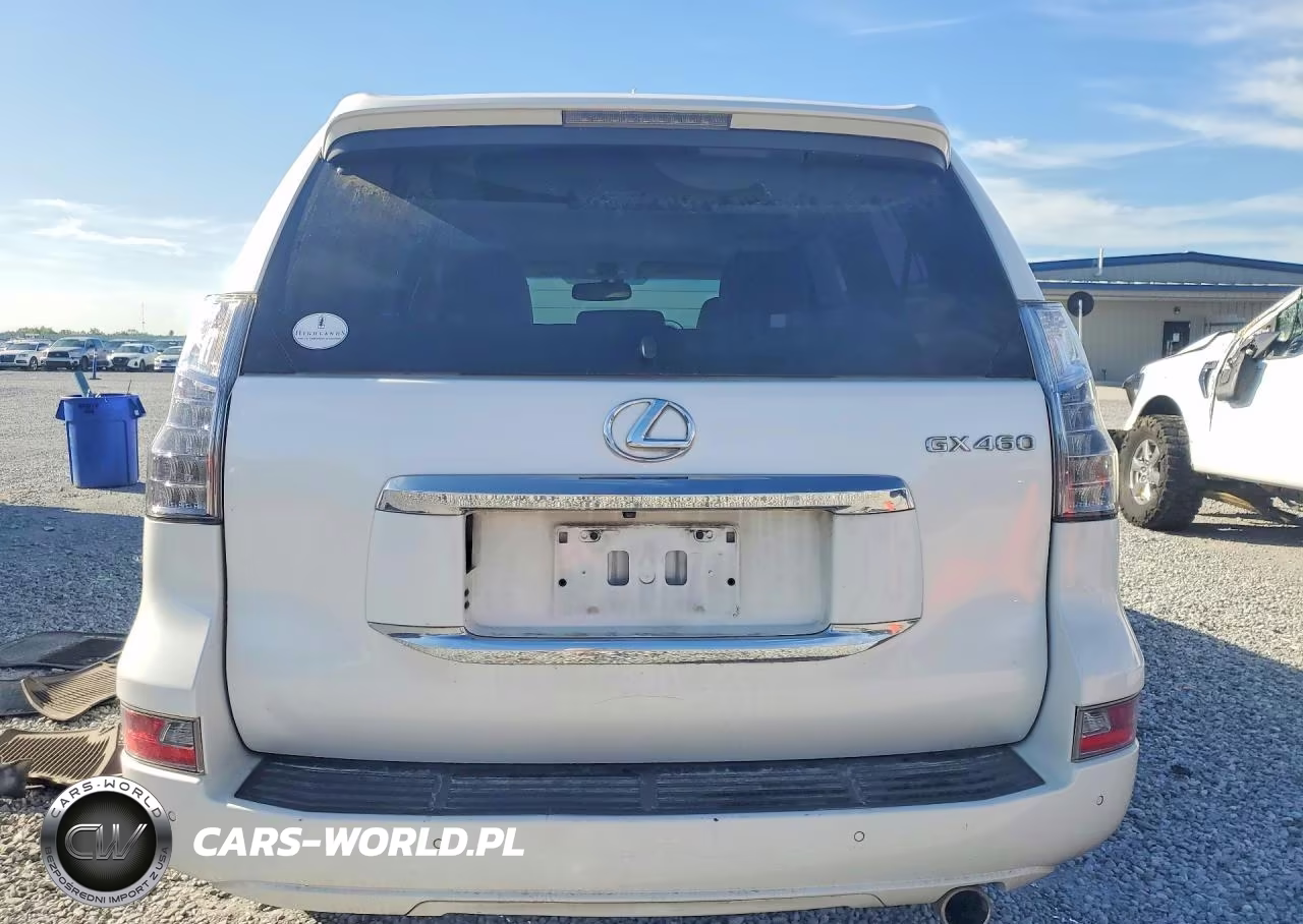 2018 Lexus Gx 460 Premium VIN:JTJJM7FX1J5184999 - 6