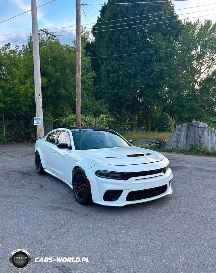 2018 Dodge Charger Srt Hellcat VIN:2C3CDXL99JH202626 - 1