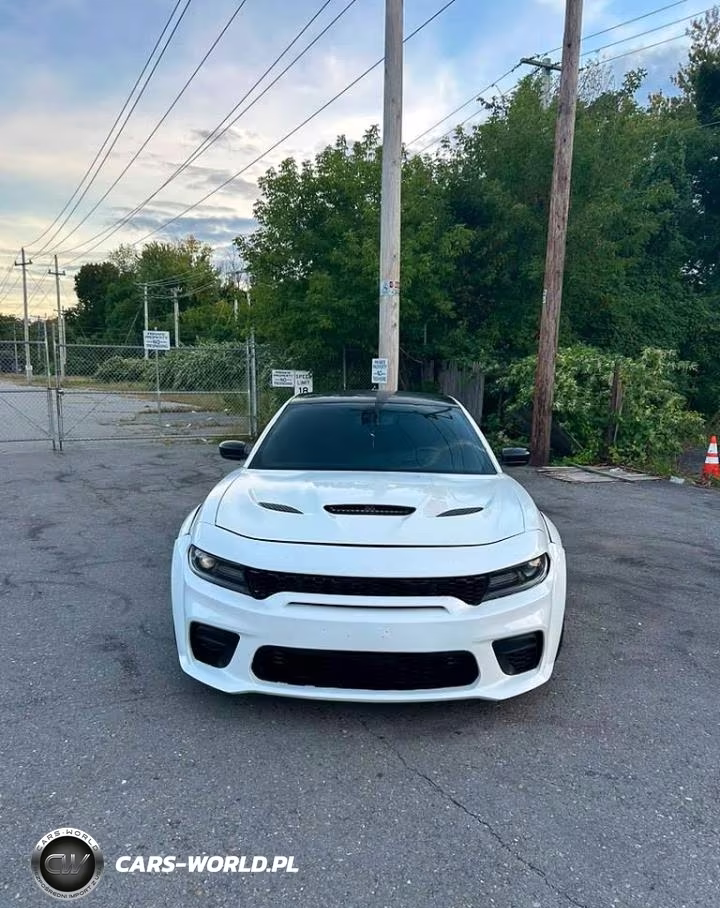 2018 Dodge Charger Srt Hellcat VIN:2C3CDXL99JH202626 - 12