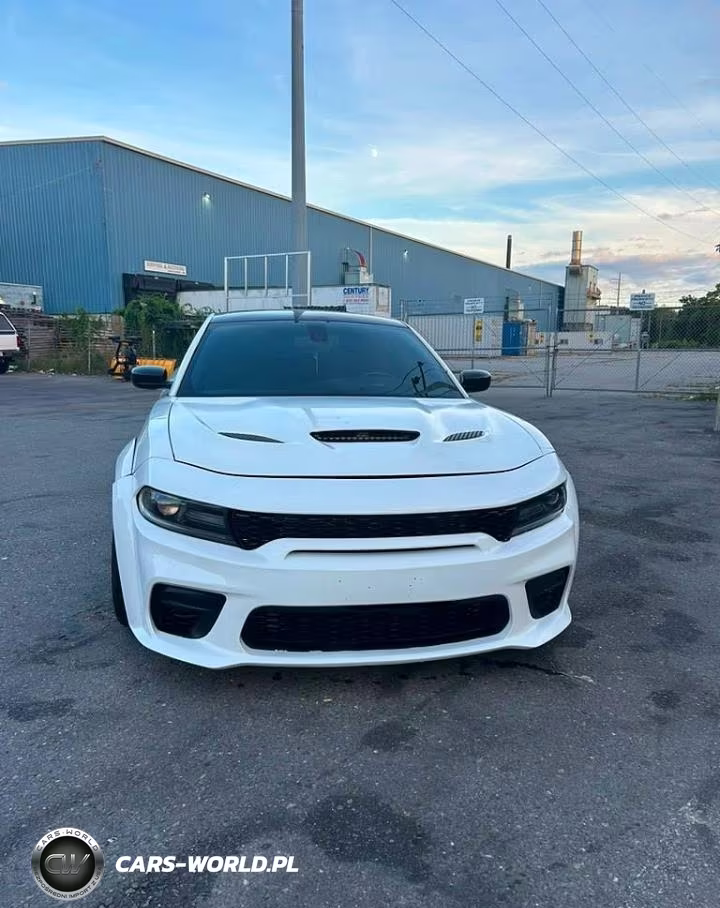 2018 Dodge Charger Srt Hellcat VIN:2C3CDXL99JH202626 - 2