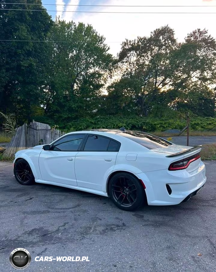 2018 Dodge Charger Srt Hellcat VIN:2C3CDXL99JH202626 - 3