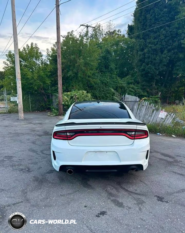 2018 Dodge Charger Srt Hellcat VIN:2C3CDXL99JH202626 - 5