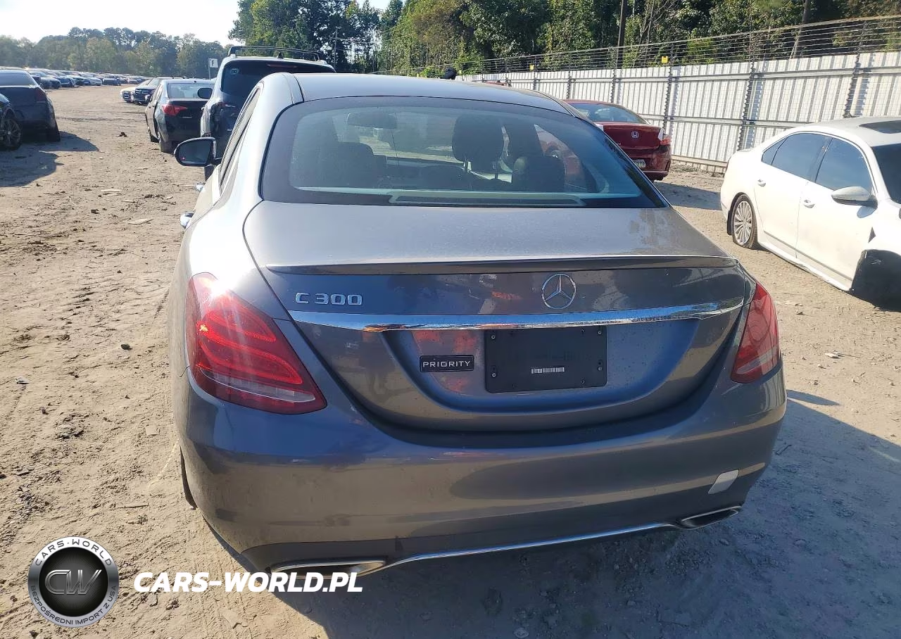 2017 Mercedes-Benz C 300 VIN:55SWF4JB1HU201871 - 6