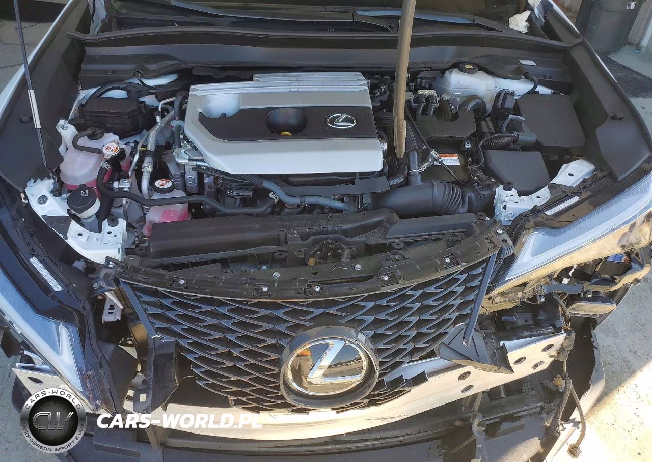 2024 Lexus Ux 250H F Sport Handling VIN:JTHR6JBH0R2192812 - 12