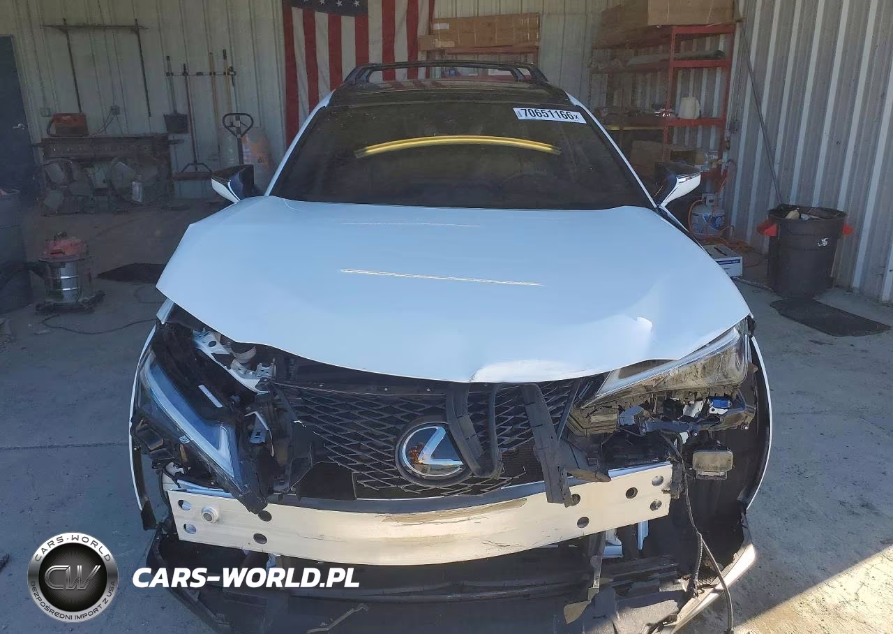 2024 Lexus Ux 250H F Sport Handling VIN:JTHR6JBH0R2192812 - 5