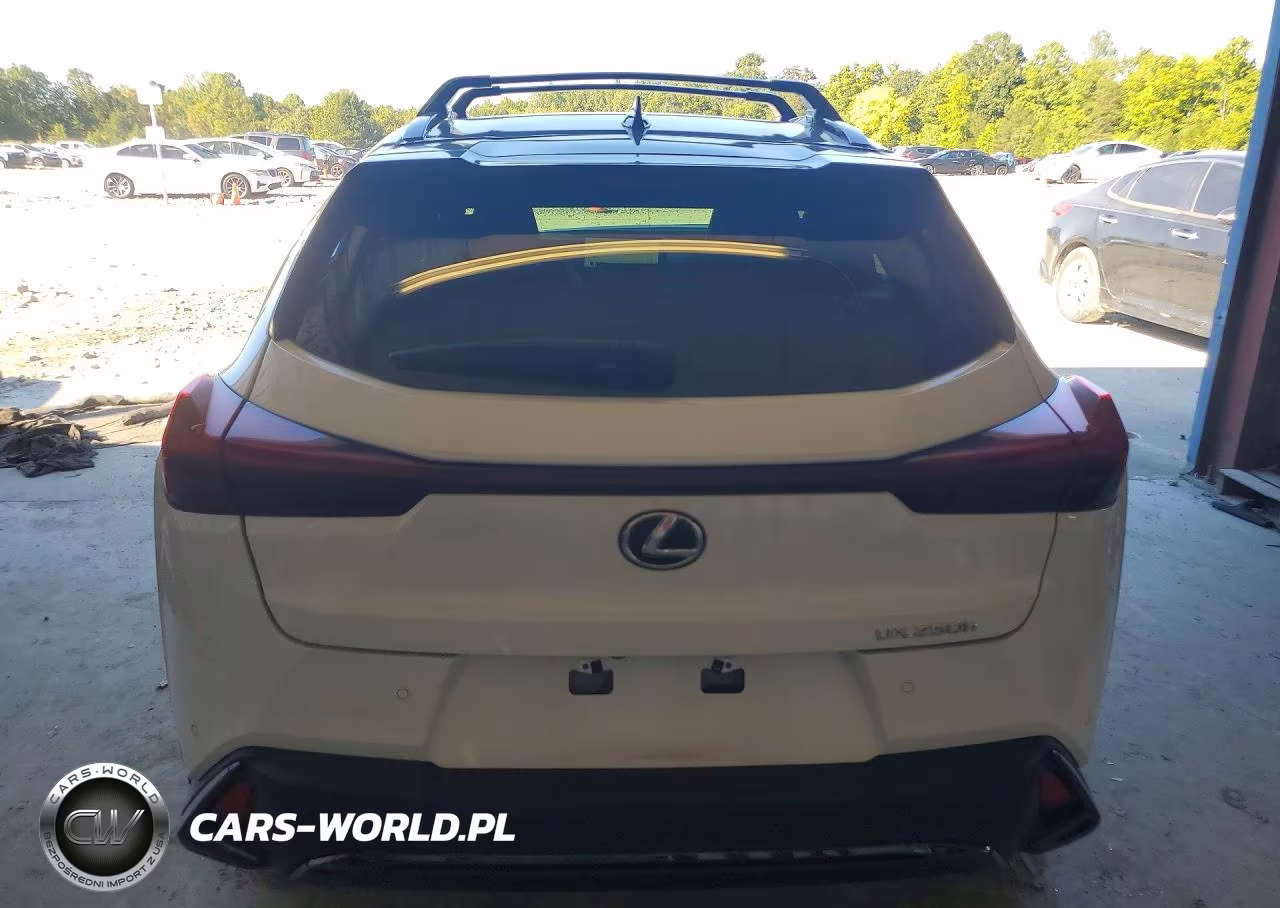 2024 Lexus Ux 250H F Sport Handling VIN:JTHR6JBH0R2192812 - 6
