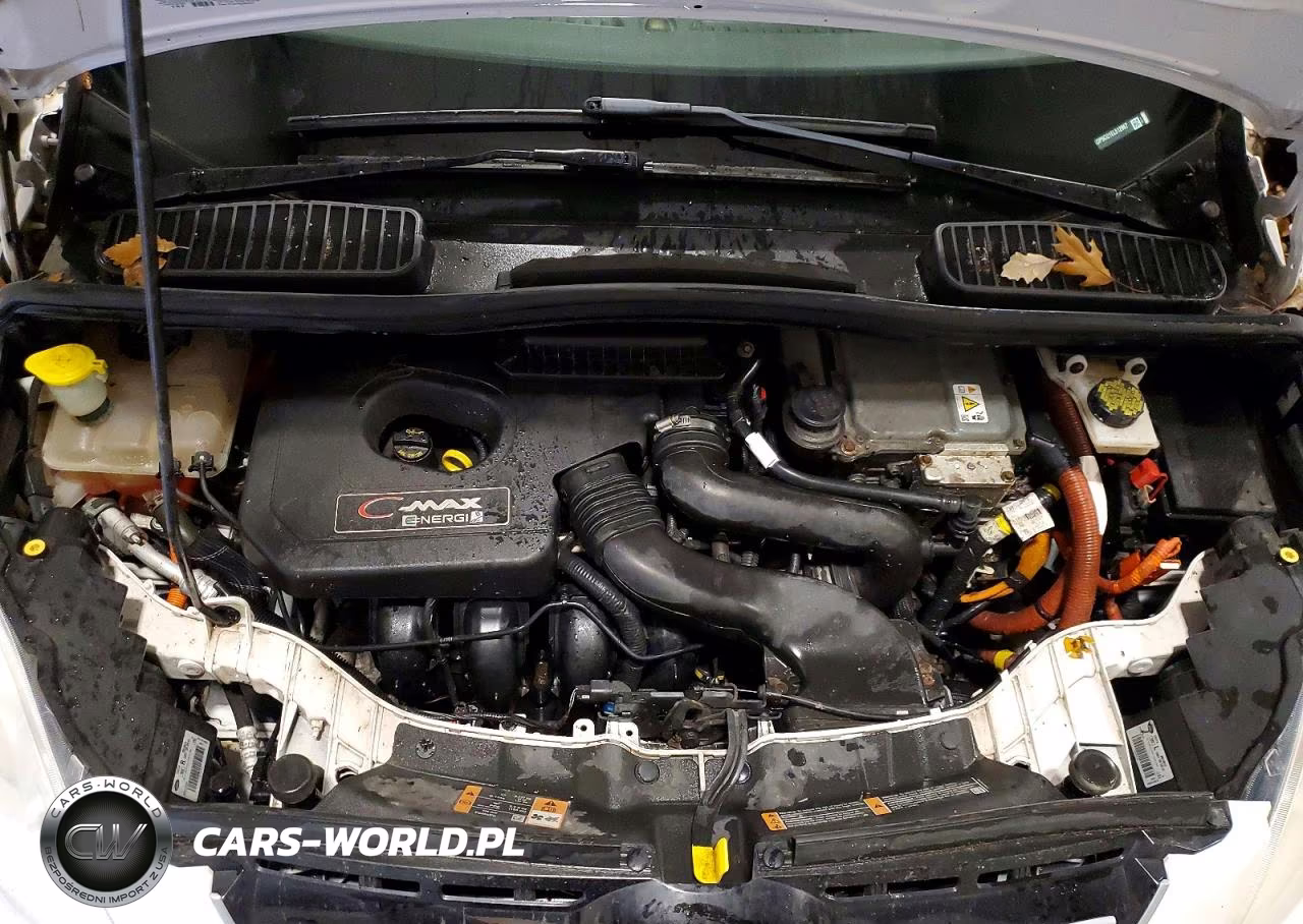 2014 Ford C-Max Premium VIN:1FADP5CU1EL512967 - 12