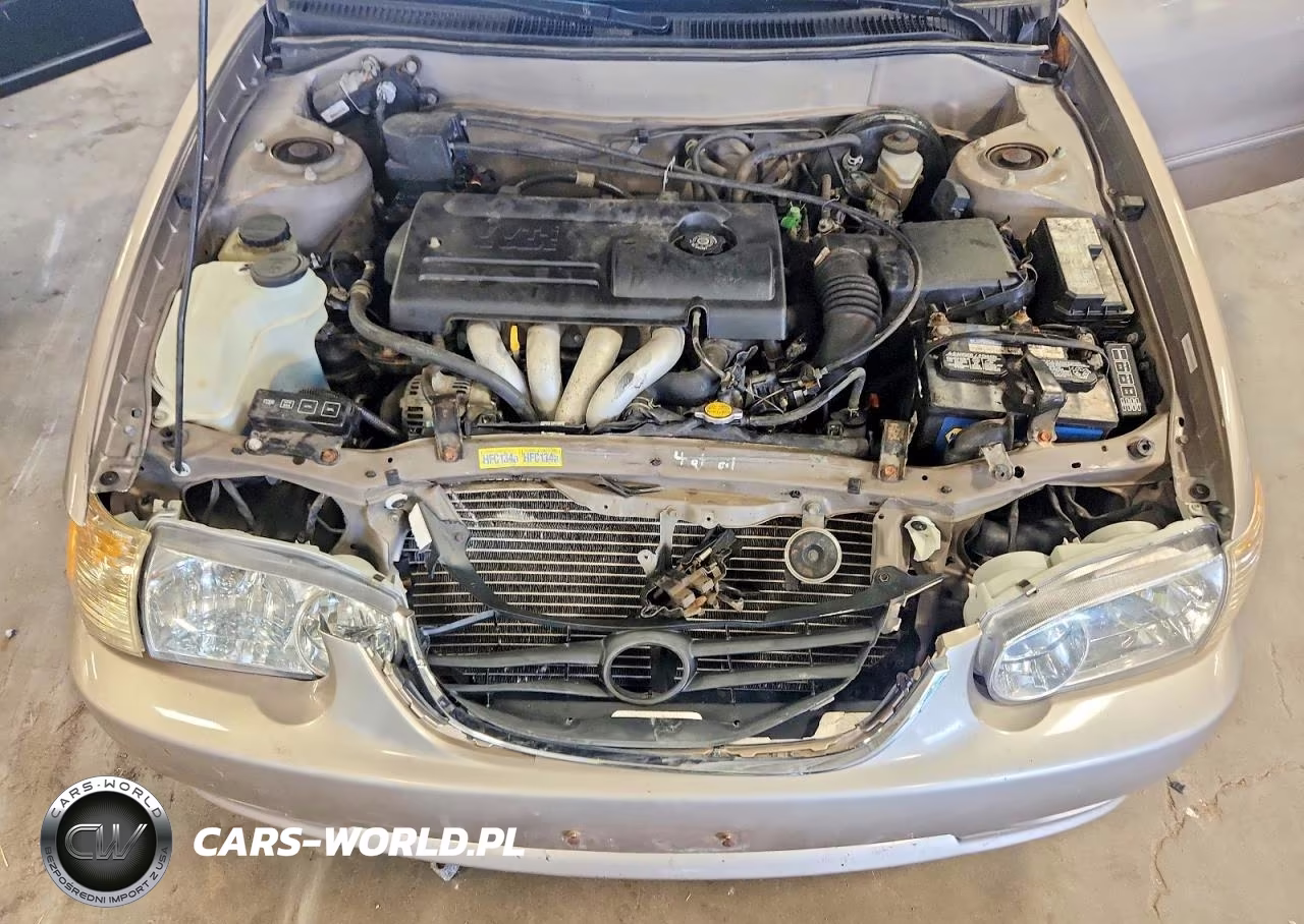 2001 Toyota Corolla Le VIN:1NXBR12E71Z431129 - 11