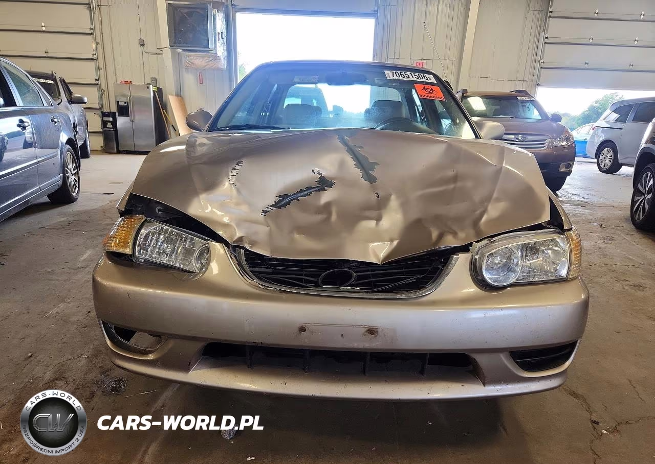 2001 Toyota Corolla Le VIN:1NXBR12E71Z431129 - 5