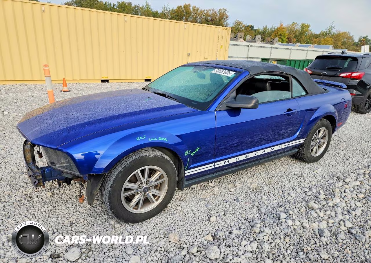 2005 Ford Mustang VIN:1ZVFT84NX55249709 - 1