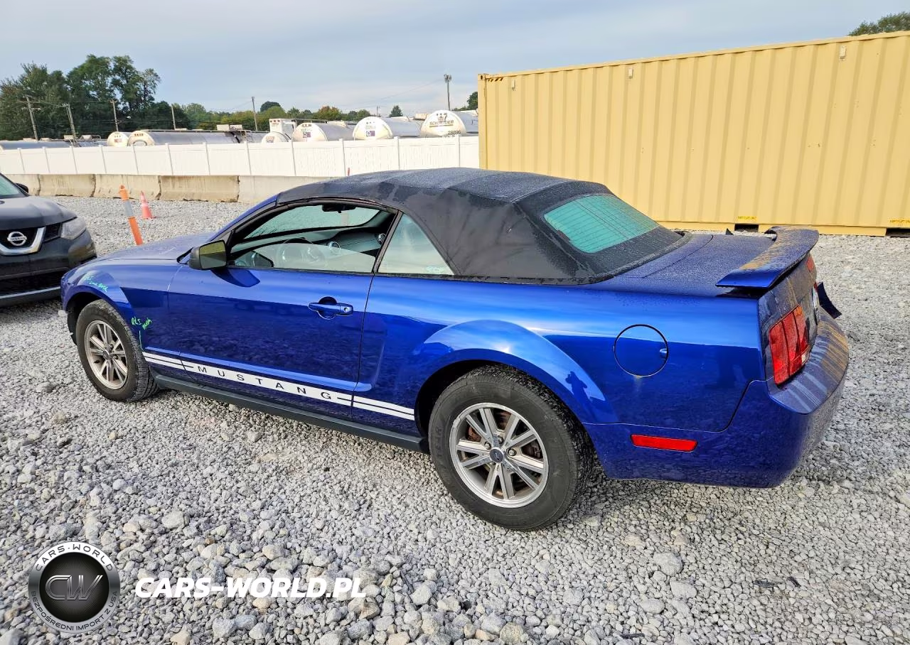 2005 Ford Mustang VIN:1ZVFT84NX55249709 - 2