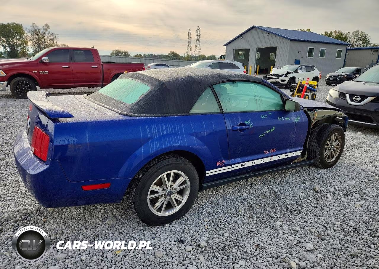 2005 Ford Mustang VIN:1ZVFT84NX55249709 - 3