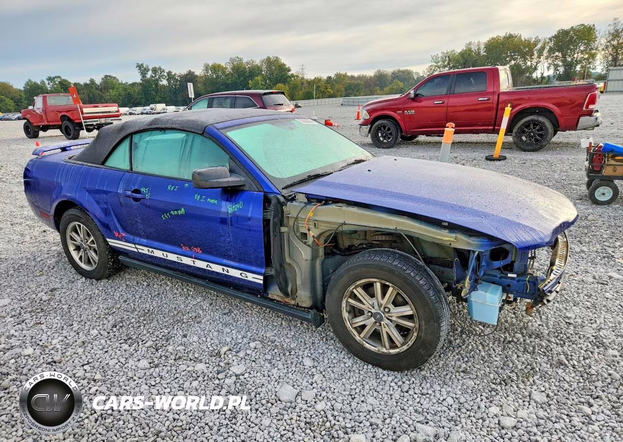 2005 Ford Mustang VIN:1ZVFT84NX55249709 - 4