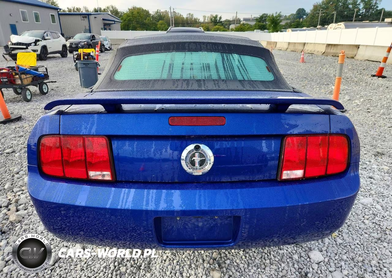 2005 Ford Mustang VIN:1ZVFT84NX55249709 - 6