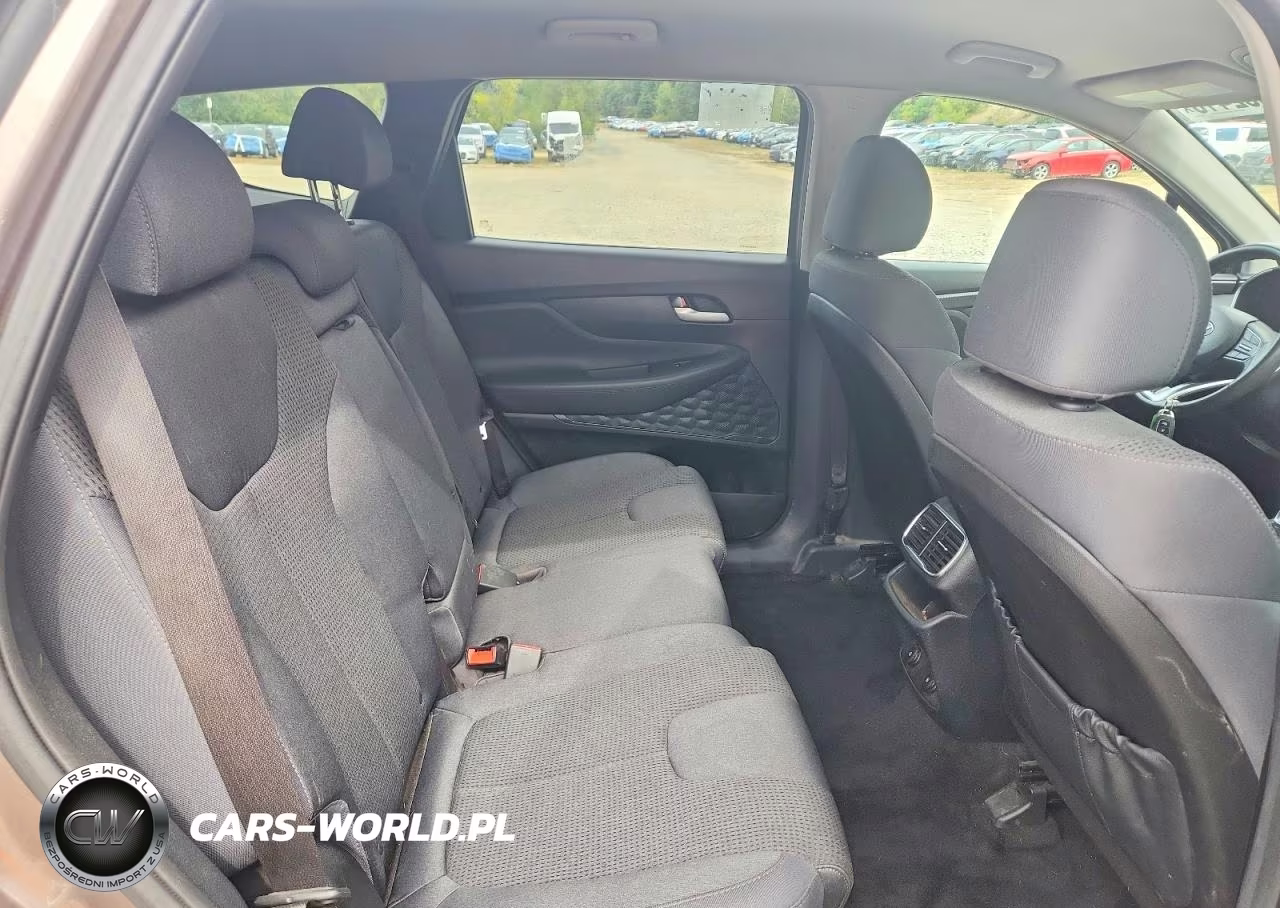 2020 Hyundai Santa Fe Sel VIN:5NMS3CAD3LH150482 - 10