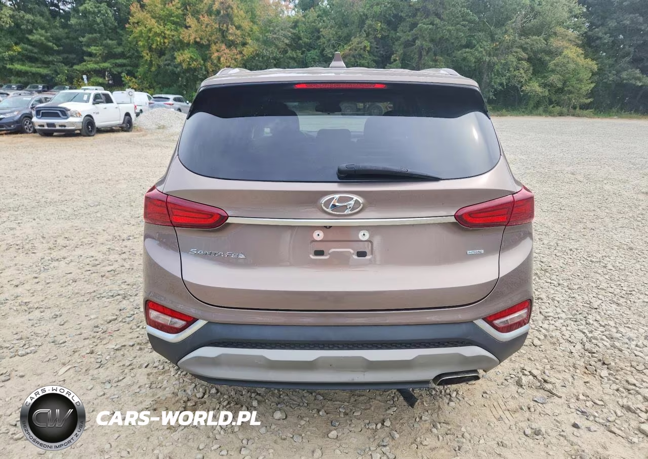 2020 Hyundai Santa Fe Sel VIN:5NMS3CAD3LH150482 - 6