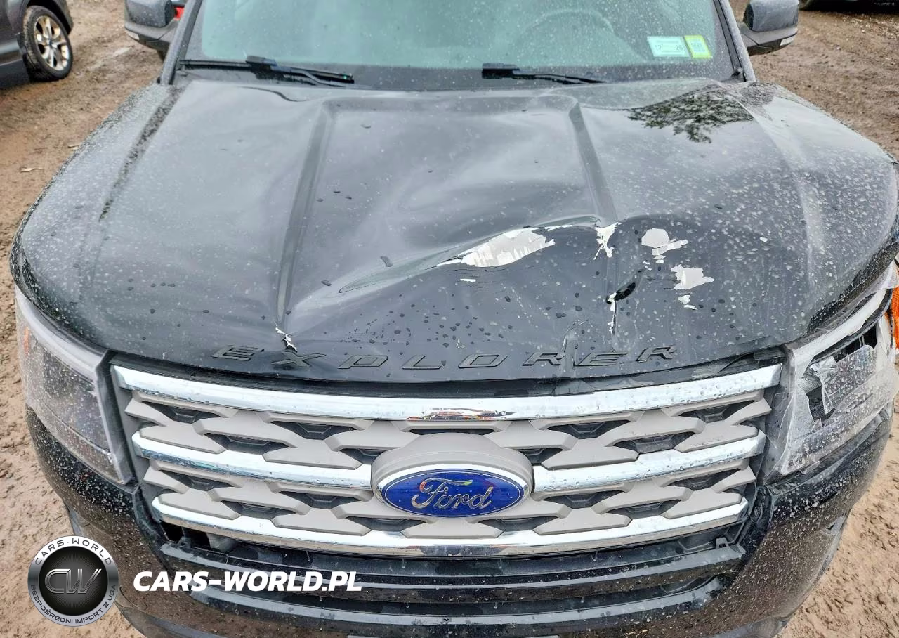 2018 Ford Explorer Xlt VIN:1FM5K8D89JGB16302 - 12