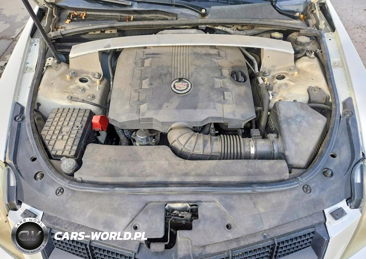 2010 Cadillac Cts Performance Collection VIN:1G6DL5EV6A0119007 - 11