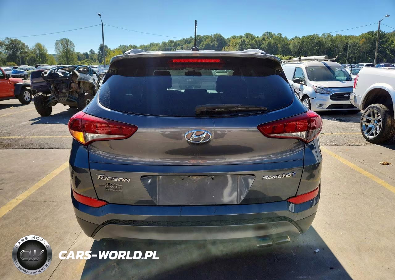 2016 Hyundai Tucson Sport VIN:KM8J33A2XGU049444 - 6
