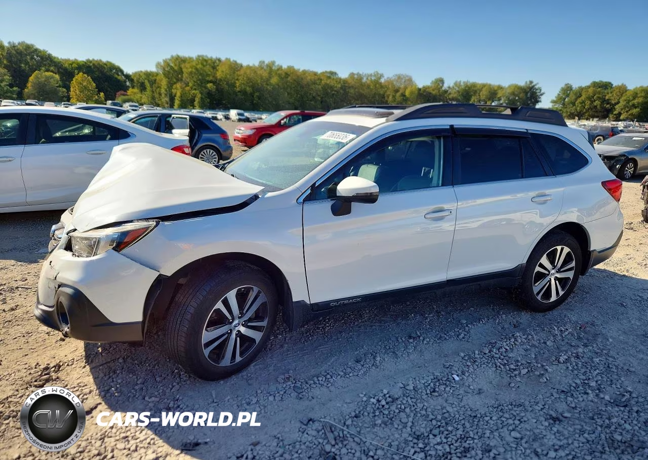 2019 Subaru Outback 2.5I Limited VIN:4S4BSANC6K3250822 - 1
