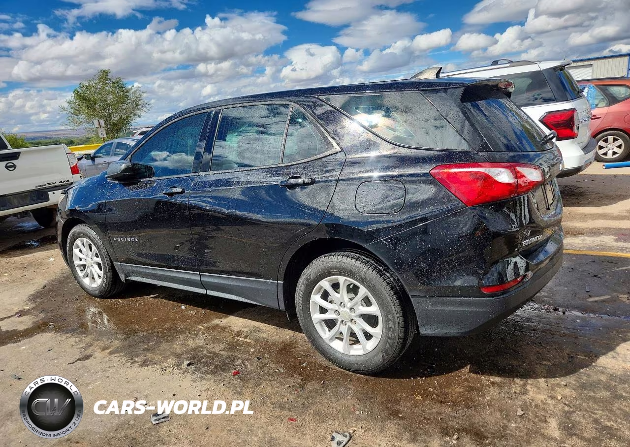 2019 Chevrolet Equinox Ls VIN:3GNAXHEV6KL392207 - 2