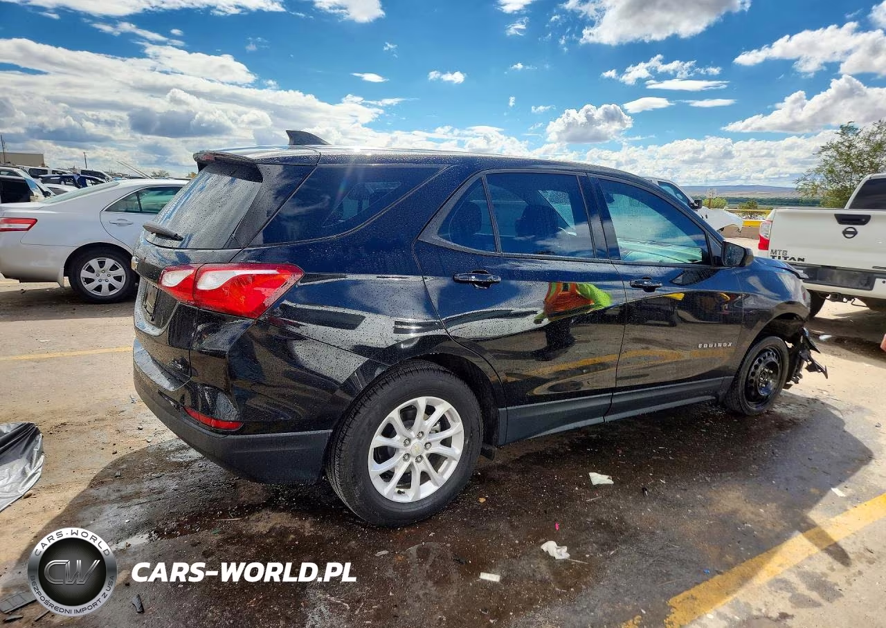 2019 Chevrolet Equinox Ls VIN:3GNAXHEV6KL392207 - 3