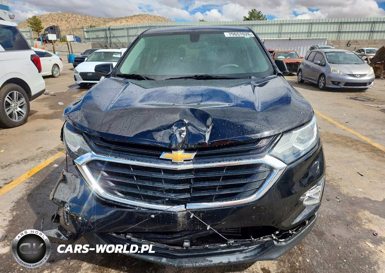 2019 Chevrolet Equinox Ls VIN:3GNAXHEV6KL392207 - 5