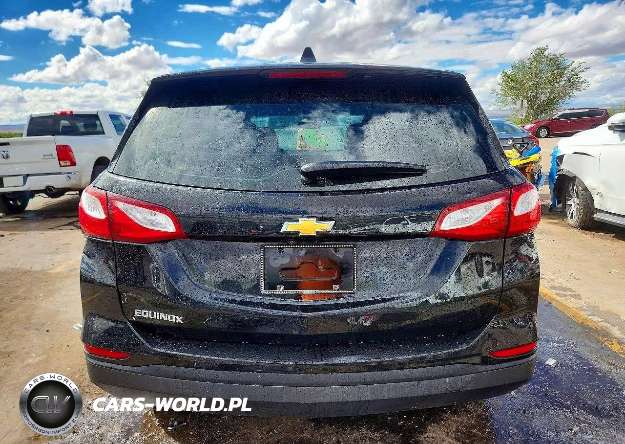 2019 Chevrolet Equinox Ls VIN:3GNAXHEV6KL392207 - 6
