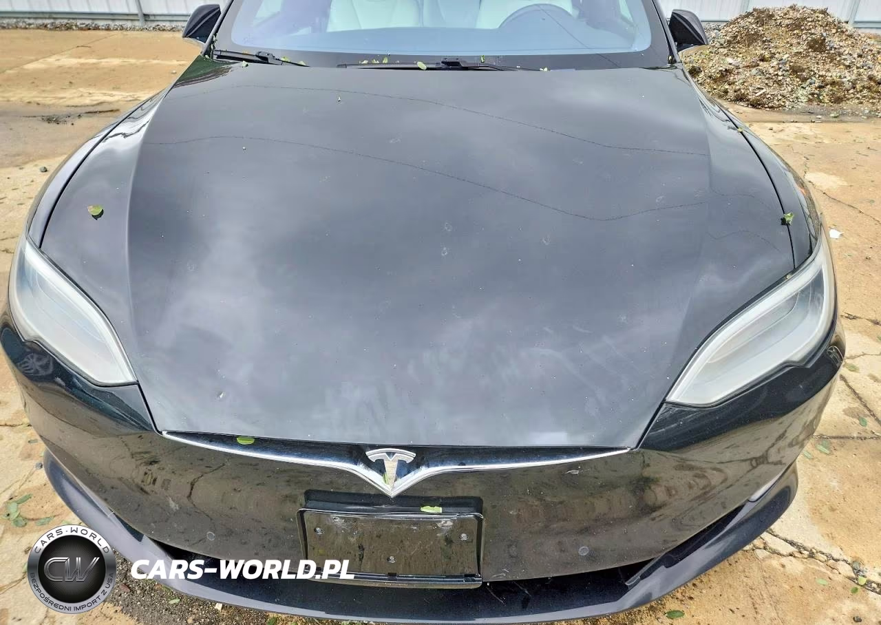 2020 Tesla Model S VIN:5YJSA1E28LF359785 - 11