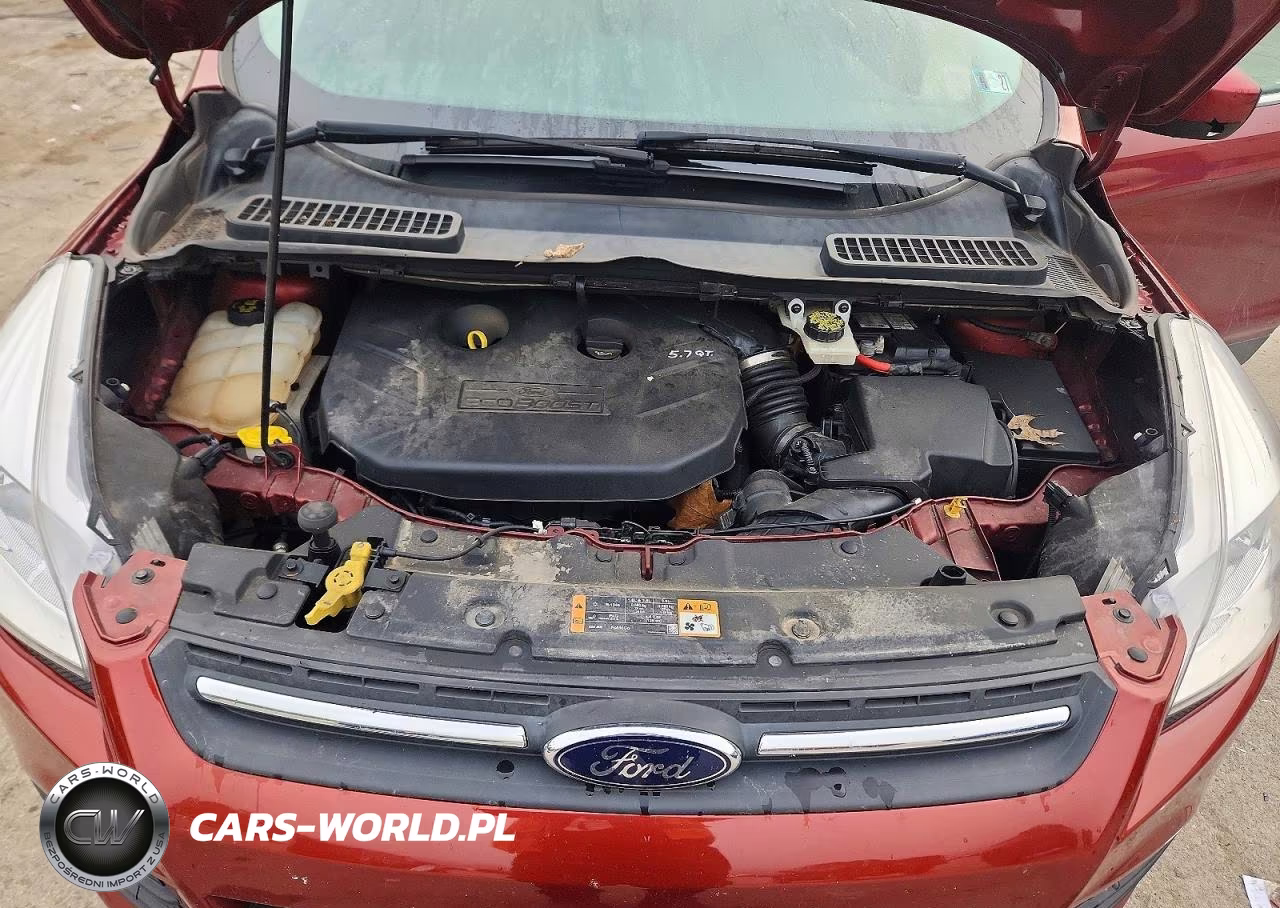 2014 Ford Escape Se VIN:1FMCU9G96EUB84088 - 12