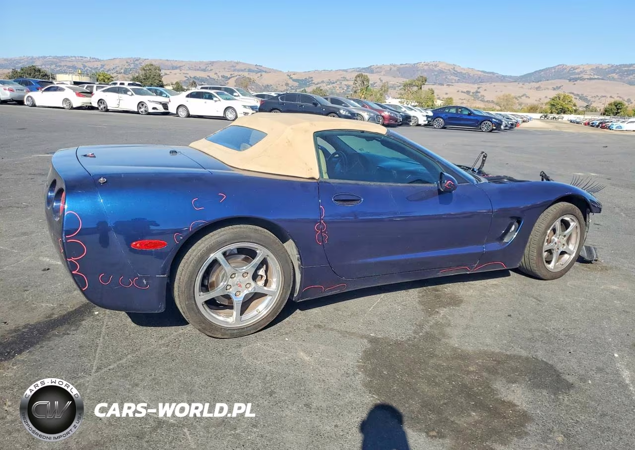 2001 Chevrolet Corvette VIN:1G1YY32GX15101129 - 3