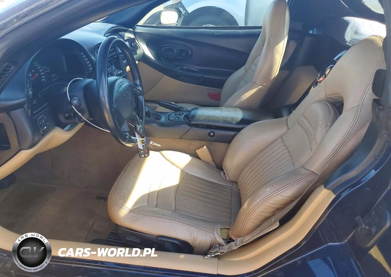 2001 Chevrolet Corvette VIN:1G1YY32GX15101129 - 7