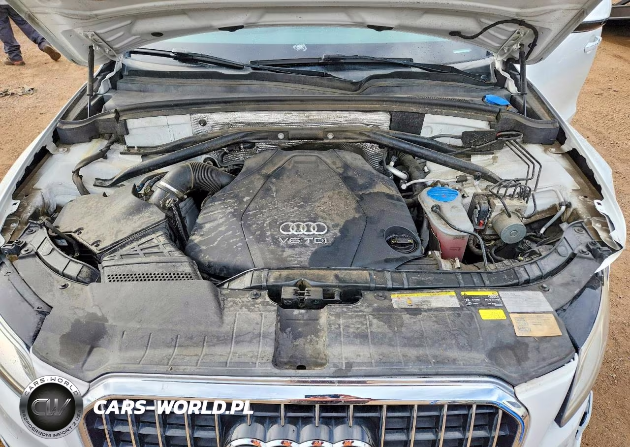 2016 Audi Q5 Tdi Premium Plus VIN:WA1CVAFP5GA066681 - 11