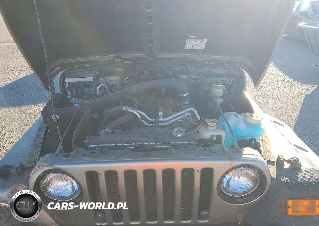 2005 Jeep Wrangler - Tj Sport VIN:1J4FA49S25P386254 - 11