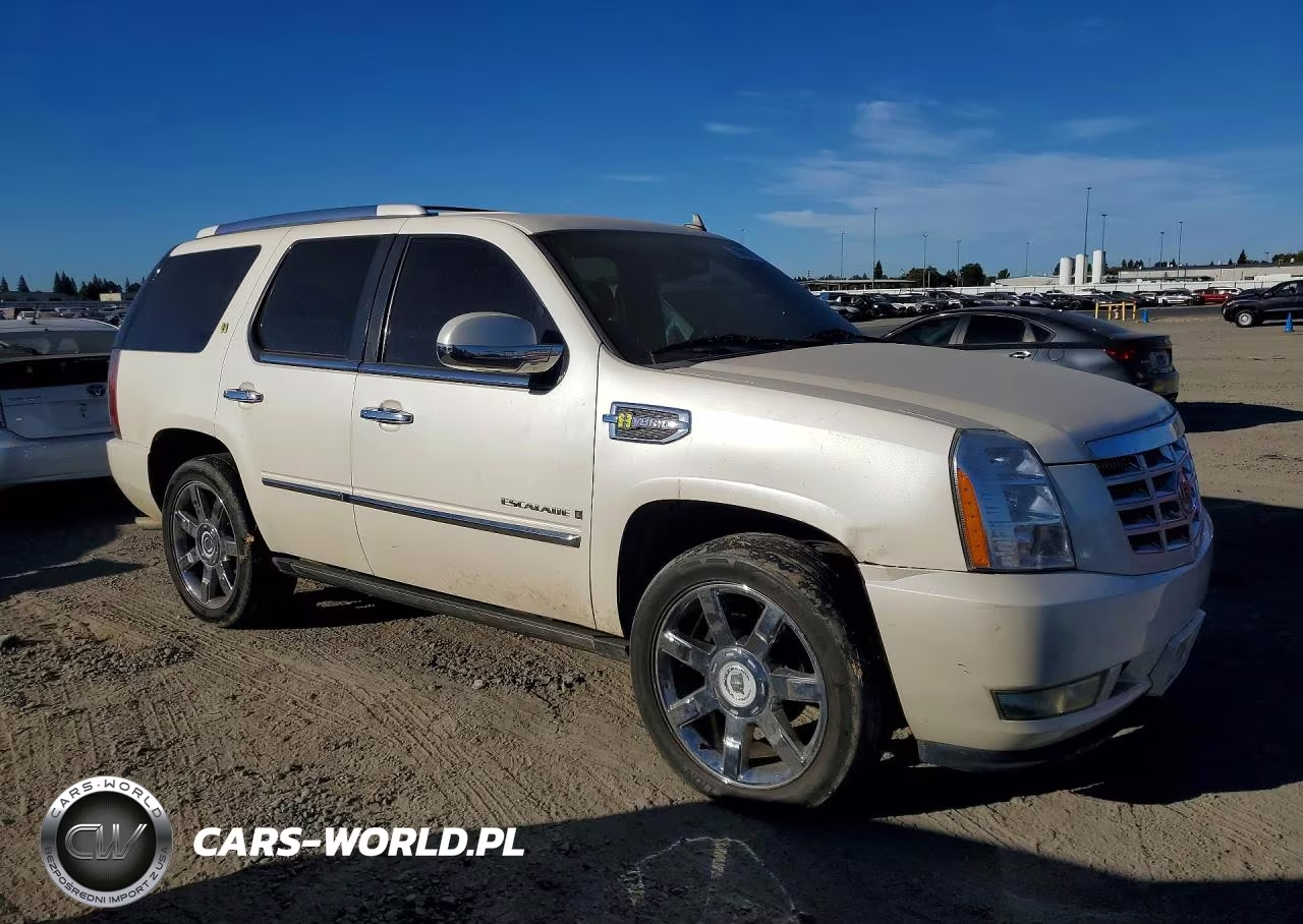 2009 Cadillac Escalade Hybrid VIN:1GYFC33529R100145 - 4