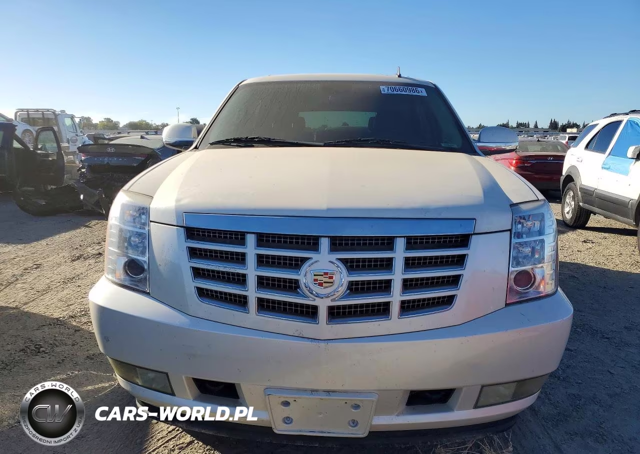 2009 Cadillac Escalade Hybrid VIN:1GYFC33529R100145 - 5