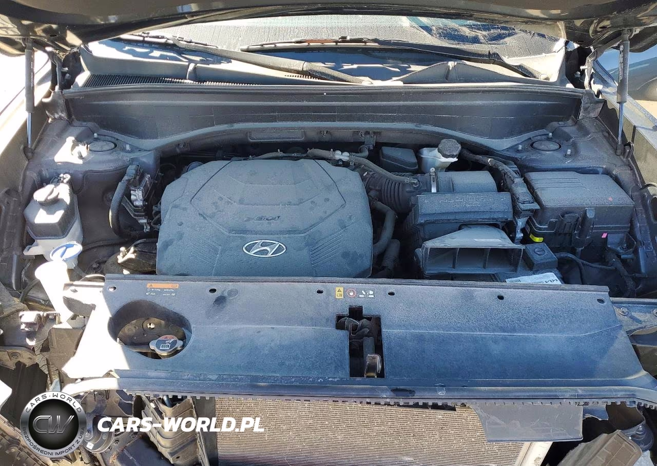2020 Hyundai Palisade Sel VIN:KM8R3DHE6LU153089 - 12