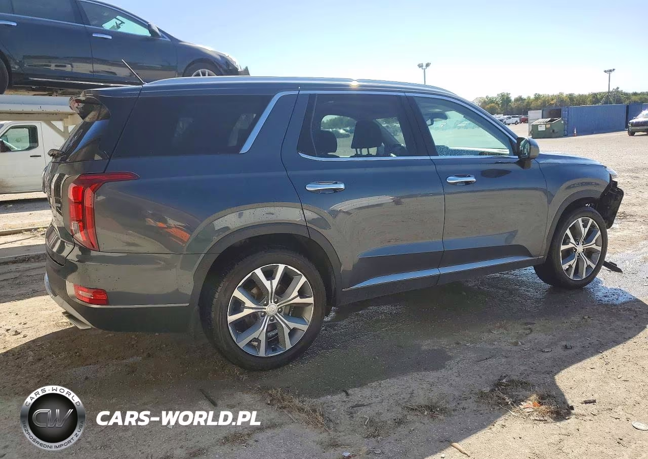 2020 Hyundai Palisade Sel VIN:KM8R3DHE6LU153089 - 3