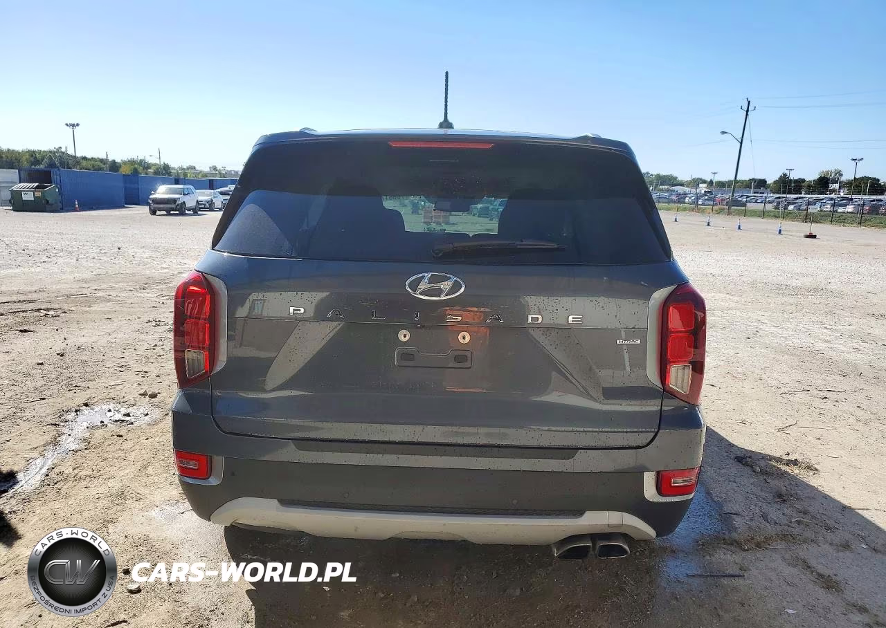 2020 Hyundai Palisade Sel VIN:KM8R3DHE6LU153089 - 6