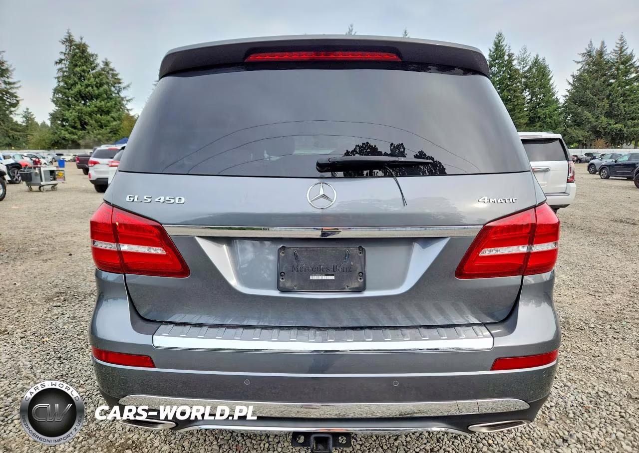 2019 Mercedes-Benz Gls 450 4Matic VIN:4JGDF6EE3KB236751 - 6