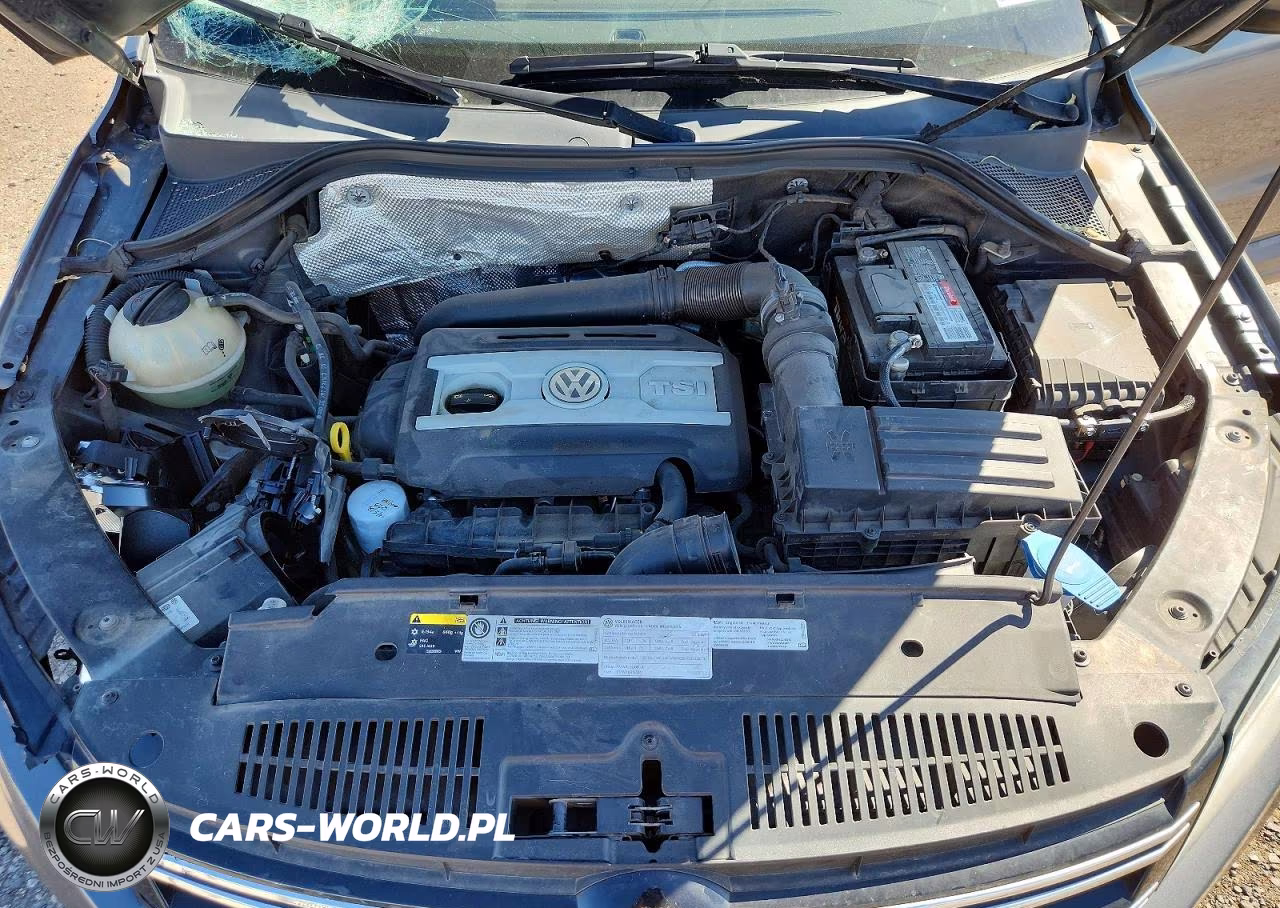 2014 Volkswagen Tiguan S VIN:WVGAV3AX2EW553834 - 11