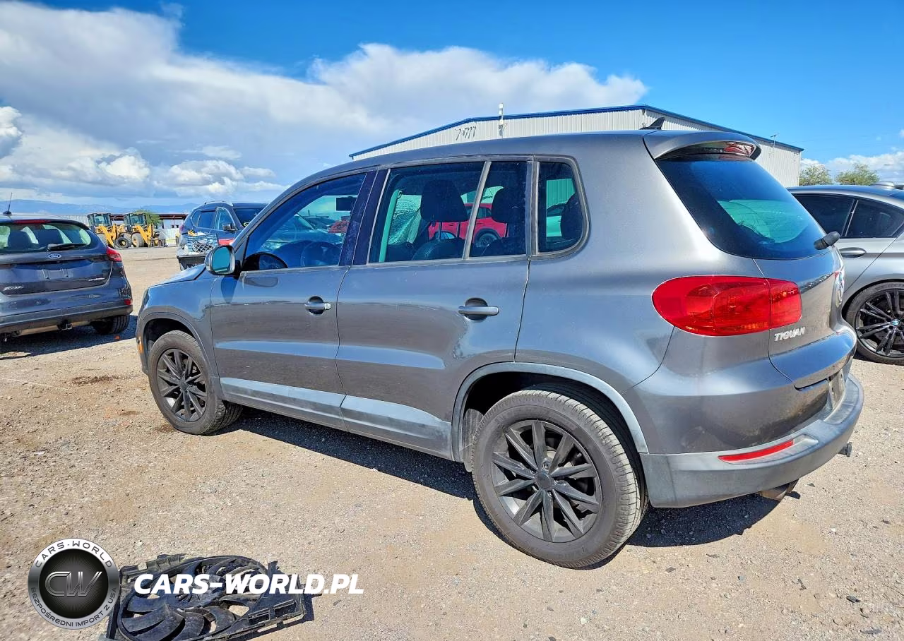 2014 Volkswagen Tiguan S VIN:WVGAV3AX2EW553834 - 2