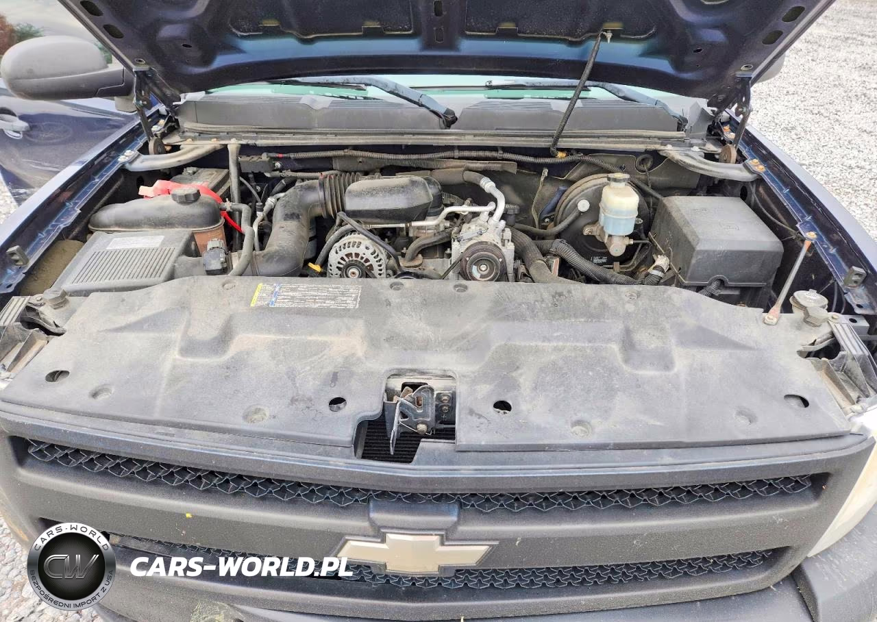 2009 Chevrolet Silverado C1500 VIN:1GCEC14X59Z189831 - 11