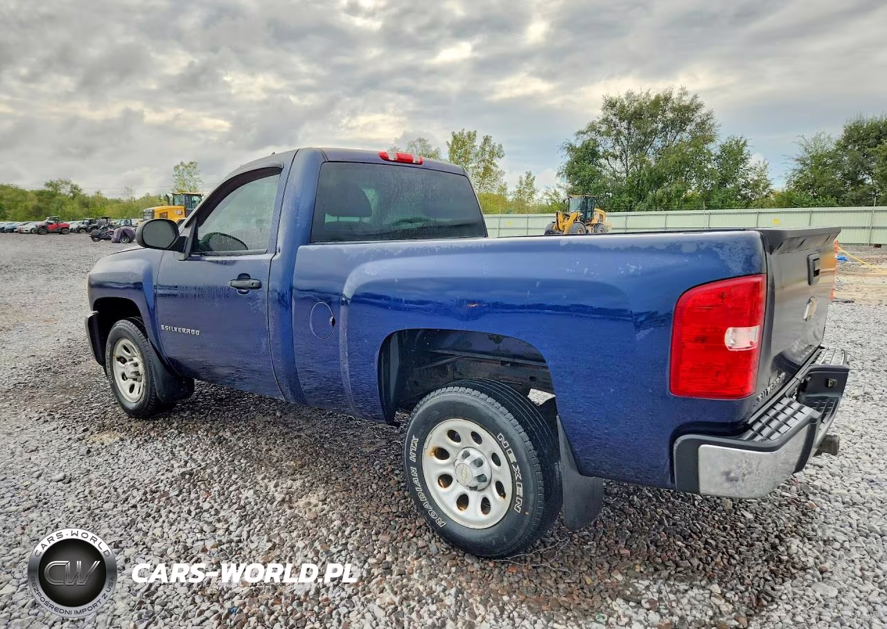 2009 Chevrolet Silverado C1500 VIN:1GCEC14X59Z189831 - 2