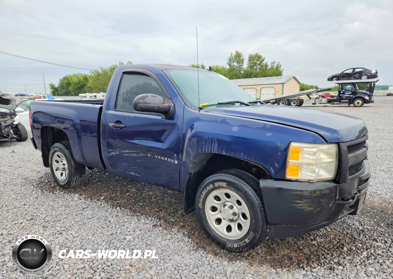 2009 Chevrolet Silverado C1500 VIN:1GCEC14X59Z189831 - 4