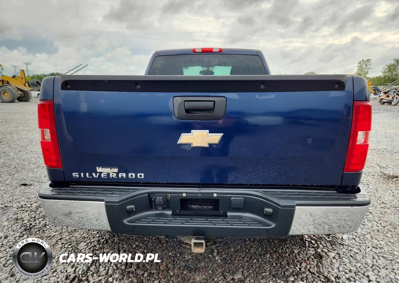 2009 Chevrolet Silverado C1500 VIN:1GCEC14X59Z189831 - 6