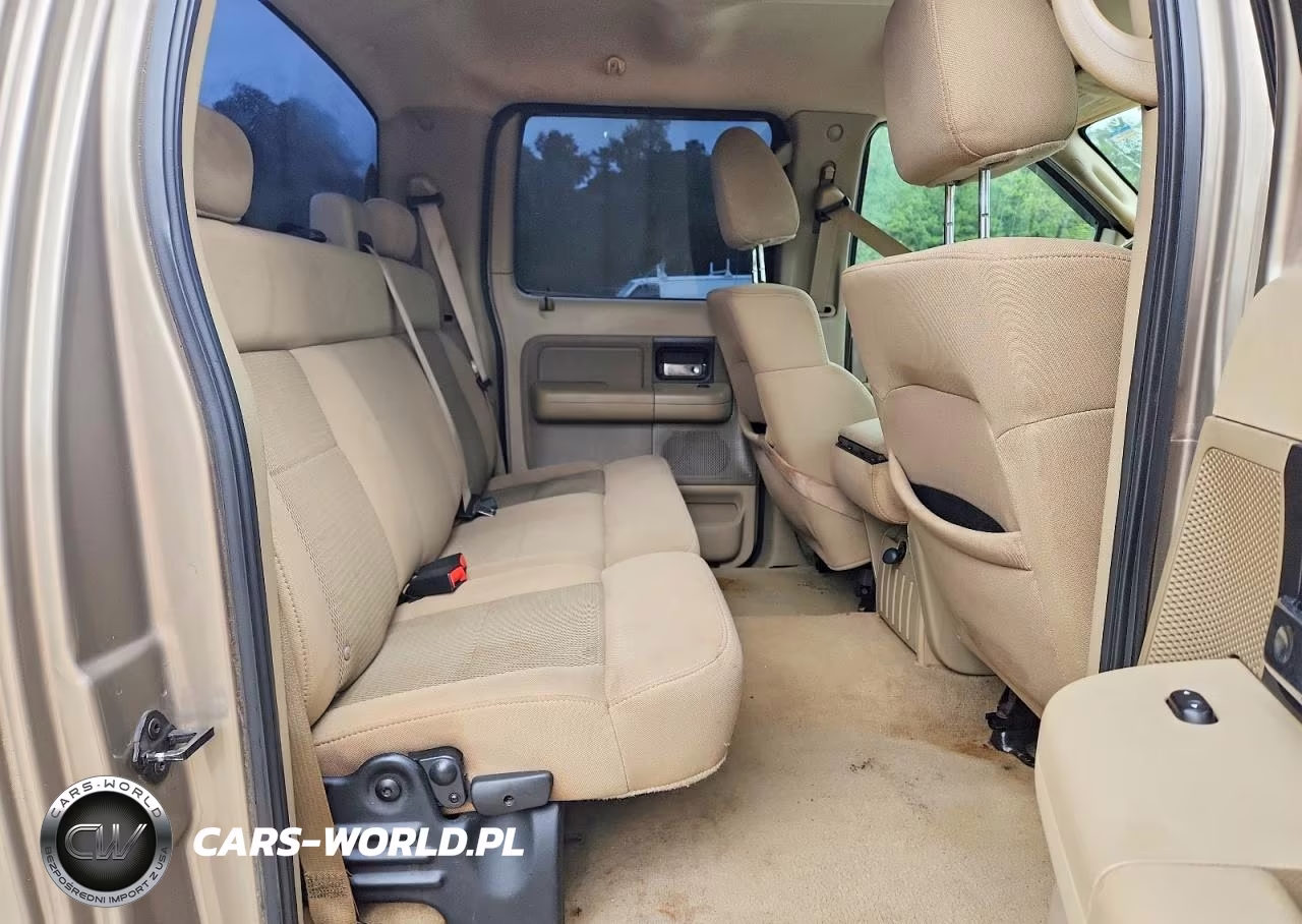 2006 Ford F150 Supercrew VIN:1FTPW14556FA89210 - 10