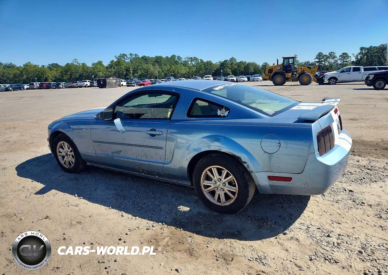 2006 Ford Mustang VIN:1ZVFT80N965200444 - 2