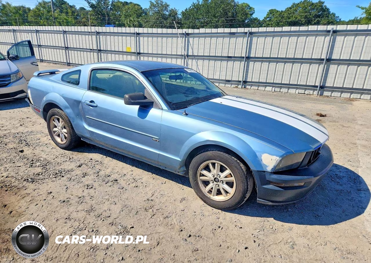 2006 Ford Mustang VIN:1ZVFT80N965200444 - 4